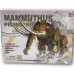 (現貨) 玩具哩到．Mammuthus Primigenuis 裝甲猛瑪象 1:35比例 可動模型 益智兒童 玩具