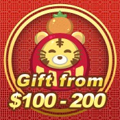 $100 - $200 禮物
